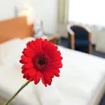 Western Hotel 3*